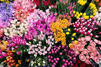 《我是耶稣》新实机演示 预定二季度Steam发售