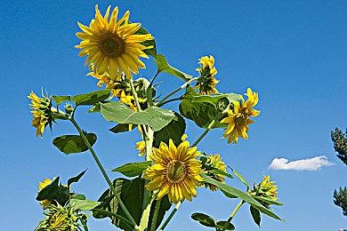 《光与影：33号远征队》幕后开发故事 竟是由一群“草台班子”组成